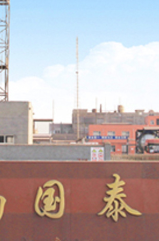 莒南国泰化工有限公司