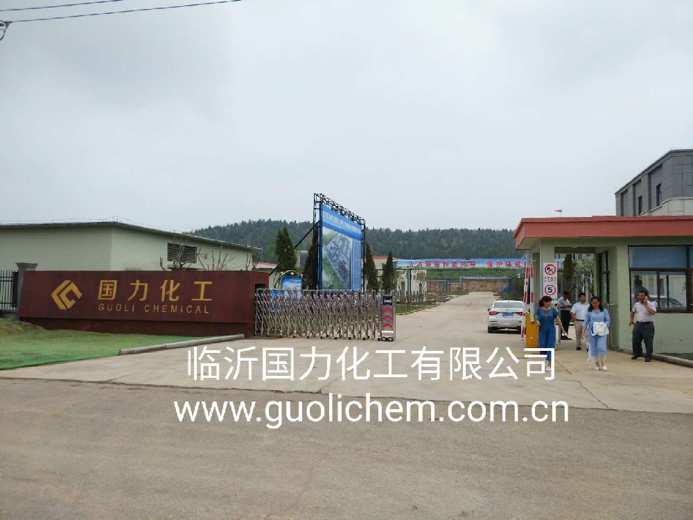 临沂国力化工有限公司